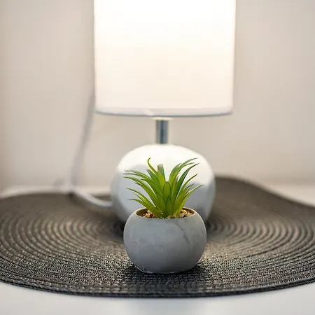 Luxury 2 Bedrooms App With Terrace In Center Old Town