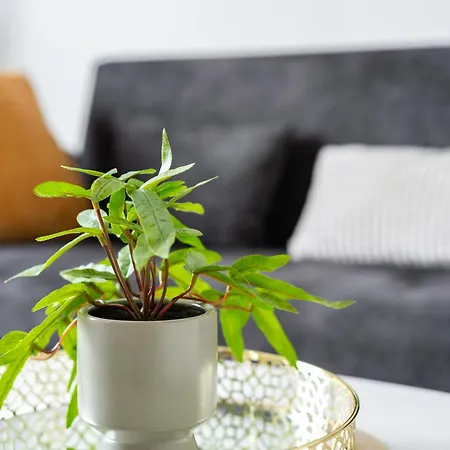 Апартаменты Luxury 2 Bedrooms App With Terrace In Center Old Town *